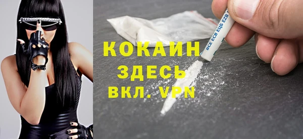 дживик Елизово