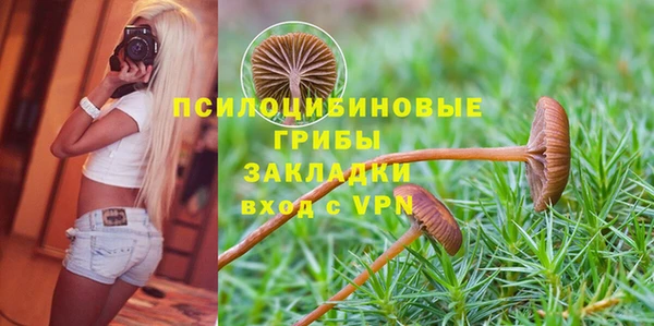 jwh Елабуга
