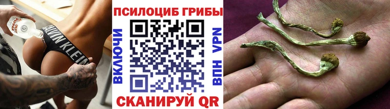 Купить где  Карпинск  Галлюциногенные грибы Magic Shrooms 